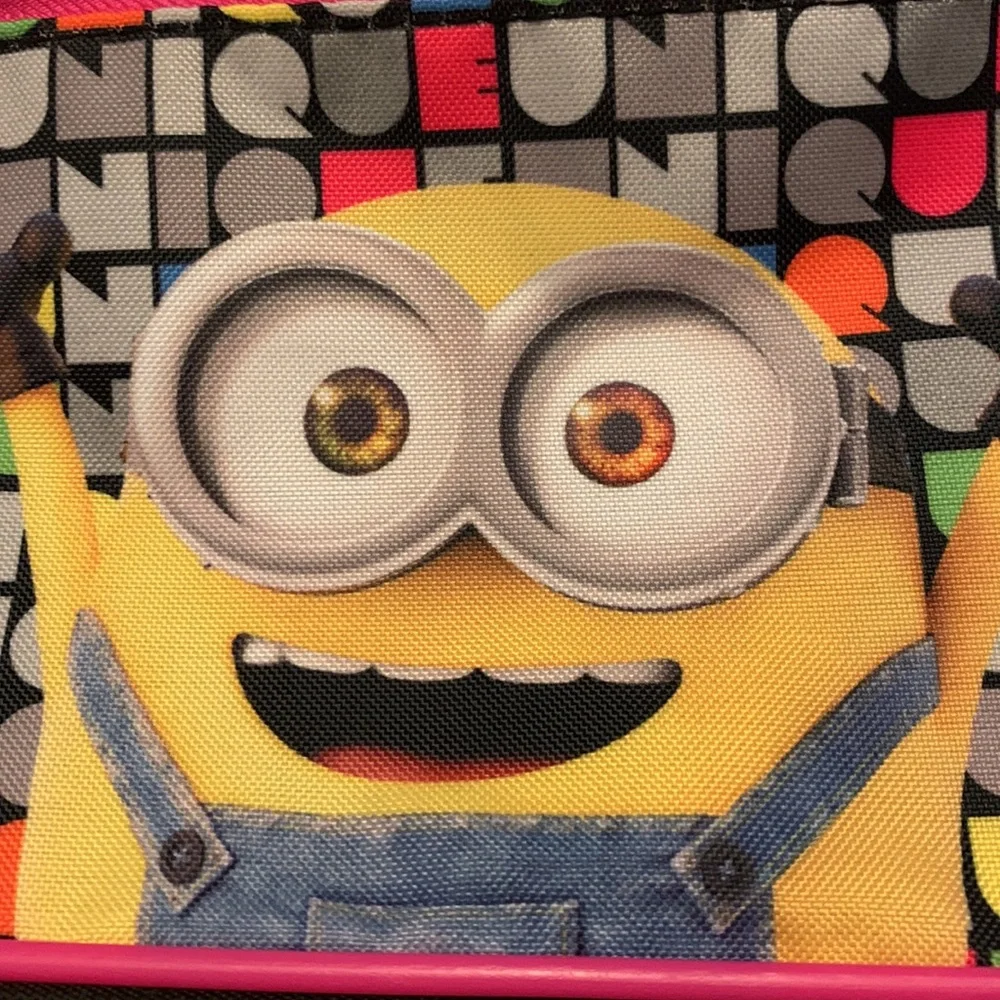 Despicable Me Graphic Minions Double Zippered Case Pouch.